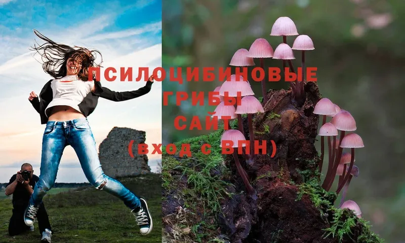 Галлюциногенные грибы Cubensis  Белокуриха 